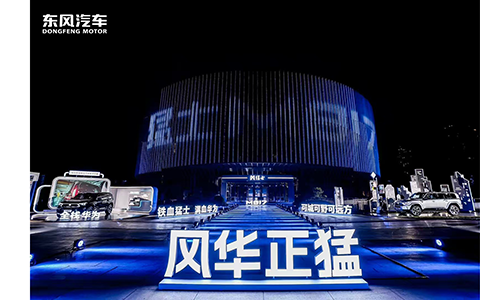 汽车车美车管团队